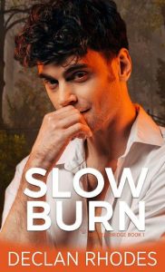 slow burn, declan rhodes