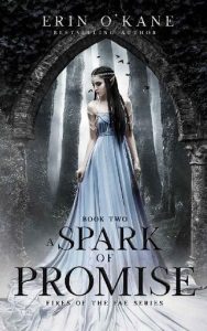 spark of promise, erin o'kane