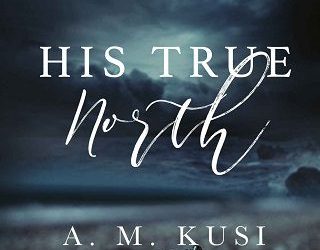 true north am kusi
