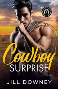 cowboy surprise, jill downey