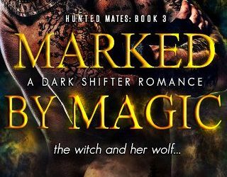 marked by magic christa wick