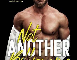 not another billionaire rl kenderson