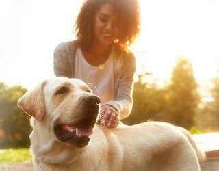 truffles leah atwood