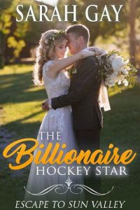 billionaire hockey star, sarah gay