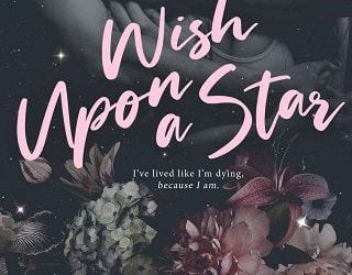 wish upon star jasinda wilder