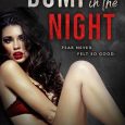 bump in night dani wyatt