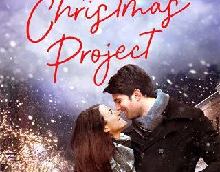 christmas project christi barth