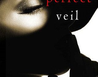 perfect veil blake pierce