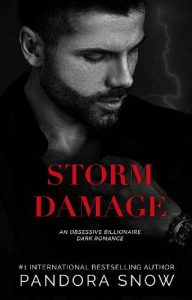 storm damage, pandora snow