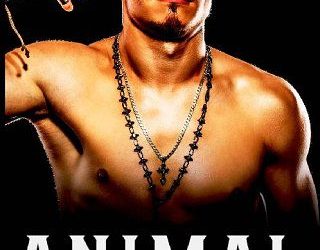 animal autumn summers