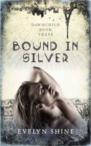 bound in silver, evelyn shine