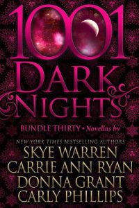 bundle, skye warren