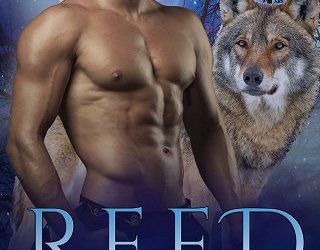 dark moon falls robbie cox