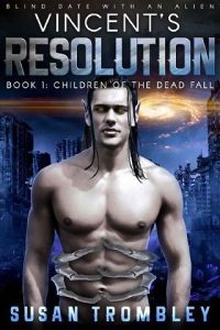 vincent's resolution, susan trombley