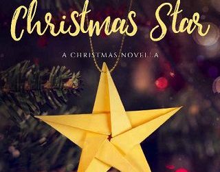 wish upon christmas star karen mcquestion