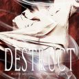destruct ellie cassidy