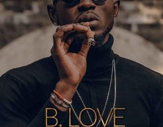 heart's connection b love