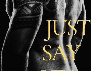 just say yes ba stretke