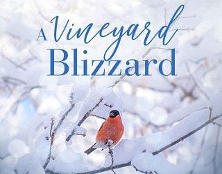 vineyard blizzard katie winters