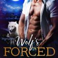 wolf's forced marriage aurora storm