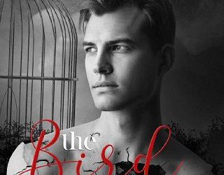 bird catcher michael robert