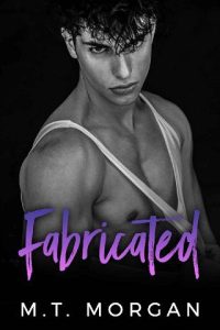 fabricated, mt morgan