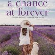 chance of forever dee stewart