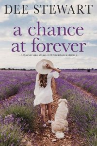 chance of forever, dee stewart