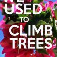climb trees kirsty davis