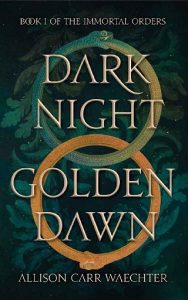 dark night, allison carr waechter