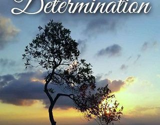 disability determination timothy underwood