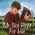 mr not right jo grafford