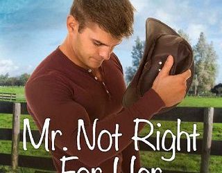 mr not right jo grafford