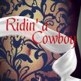 riding a cowboy sarah stein