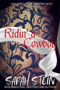 riding a cowboy, sarah stein