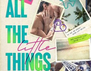 all the little things rachel leigh