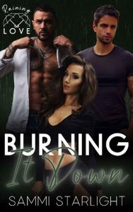 burning it down, sammi starlight