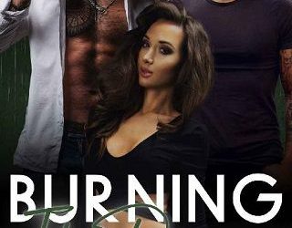 burning it down sammi starlight