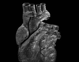 heart of stone ck bennett