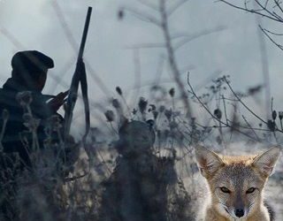 threatened hate kian rhodes