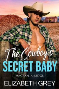 cowboy's baby, elizabeth grey