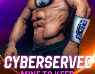 mine to keep tracy st john