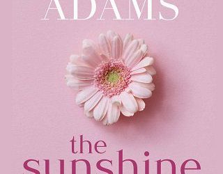 sunshine strategy noelle adams