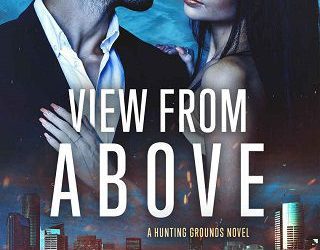 view from above nichole severn