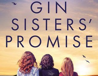 gin sister's promise faith hogan