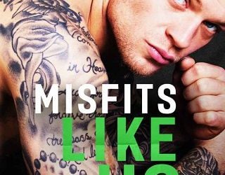misfits like us krista ritchie