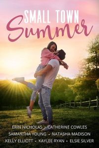 small town, erin nicholas