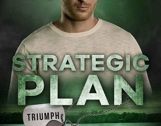 strategic plan lynn shannon