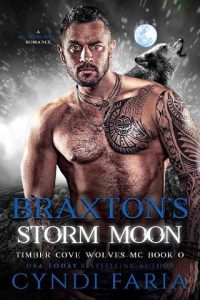 braxton's storm, cyndi faria
