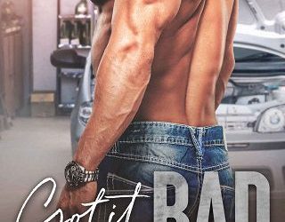 got it bad erin nicholas